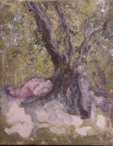 The Elephant Tree - you should see this!